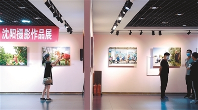 沈陽30位駐村“第一書記”成主角，鄉村振興展覽展現責任與擔當